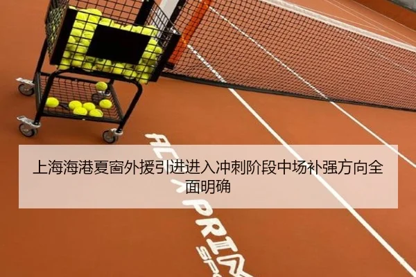 上海海港夏窗外援引进进入冲刺阶段中场补强方向全面明确 - STARSPORTS